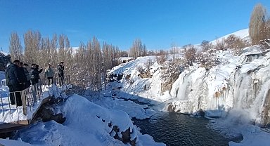 Muradiye Şelalesi buz tuttu