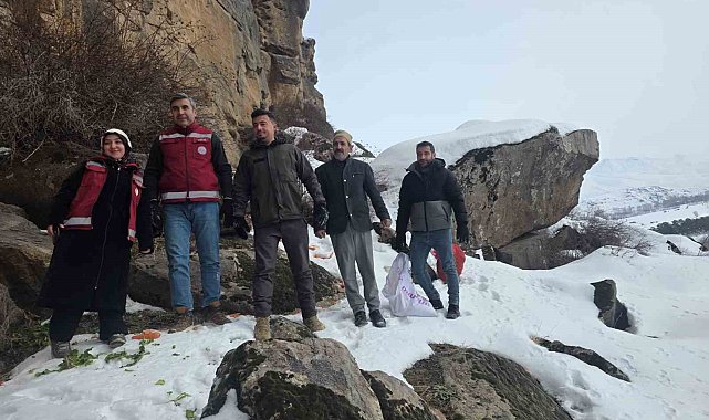 Muradiye'de yaban hayvanları için doğaya yem bırakıldı
