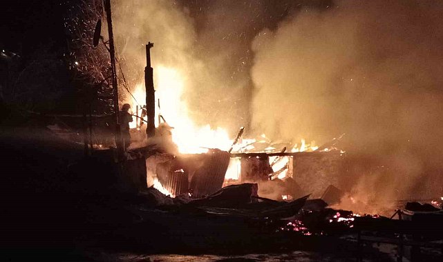 Ordu'da evini ateşe veren şahıs ağaçta asılı halde bulundu