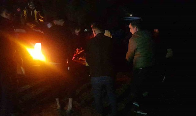 Orman yangınında hasar gören ağaçları taşıyan tır devrildi: 3 yaralı