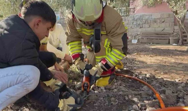 Patisi zincire sıkışan köpeğe hayat kurtaran müdahale