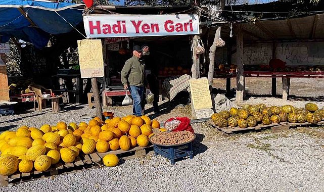 "Araştırmacı kavuncu dede" ata tohumlarını geleceğe taşıyor