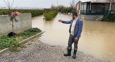 Sağanak sonrası evde mahsur kalan 4 köpek iş makinesiyle kurtarıldı