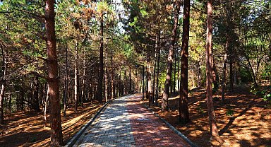 Sakarya'da Sapanca Gölü'nde huzur dolu yaşam alanı açıldı