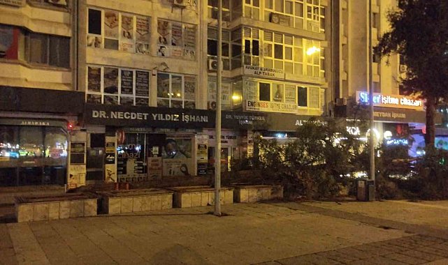 Samsun'da fırtına ağaç devirdi