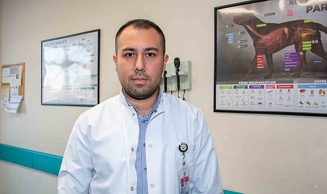 Şap hastalığıyla mücadelede aşılama hayati önem taşıyor