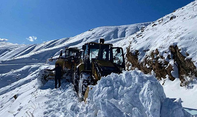 Sason'da 392 kilometrelik yol ağı kardan temizlendi