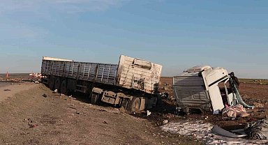 Şırnak'ta iki tır çarpıştı: 2 yaralı