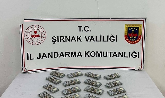 Şırnak'ta jandarma ekiplerinden kaçakçılığa darbe
