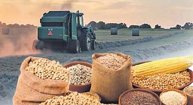 Tarım-ÜFE 2025'in son ayında da güçlü seyrini sürdürdü