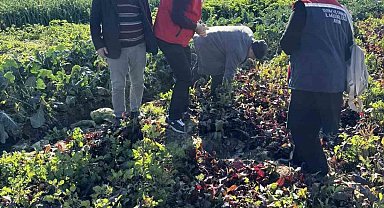 Tarımda kimyasalsız üretime yerinde inceleme