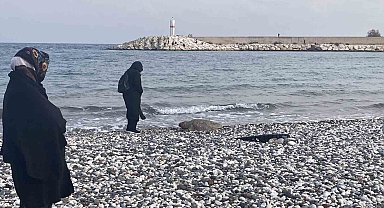 Telef olan caretta caretta halk plajına vurdu
