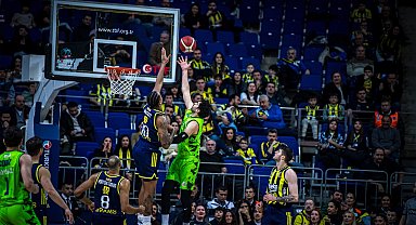 Tofaş deplasman potasında mağlup oldu