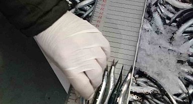 Trabzon'da 2025 yılında su ürünleri denetimlerinde 43 kişiye 3,2 milyon TL para cezası