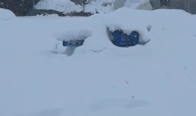Tunceli'de kar yüküne dayanamayan iş yerinin çatısı çöktü