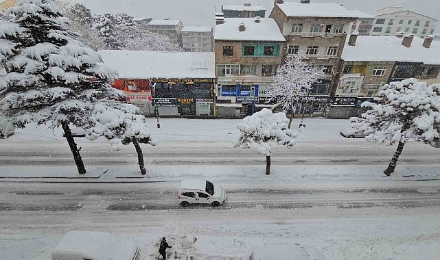 Uzmanından Bitlis için "kar ve su hasadı" uyarısı