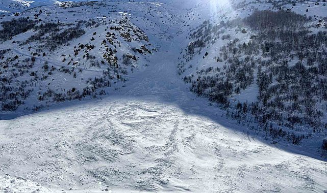 Van-Çatak yolu çığ düşmeleri nedeniyle 4 gündür ulaşıma kapalı