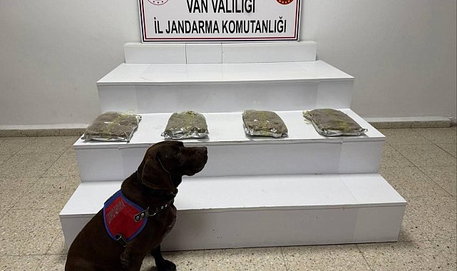 Van'da 5 kilo 250 gram kubar esrar ele geçildi