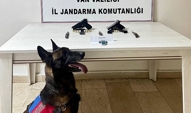 Van'da ruhsatsız tabanca ele geçirildi