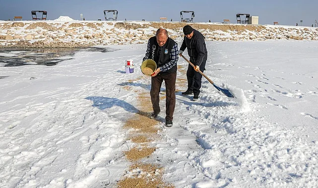 Van'da kuşlar için doğaya yem bırakıldı