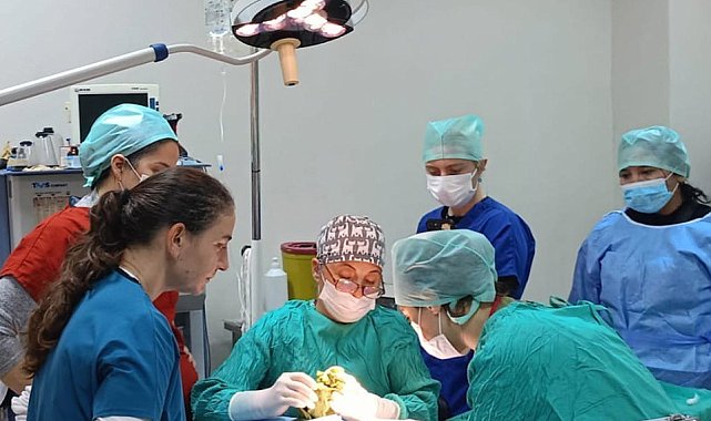 Veteriner Fakültesinde 3 bin hayvana şifa
