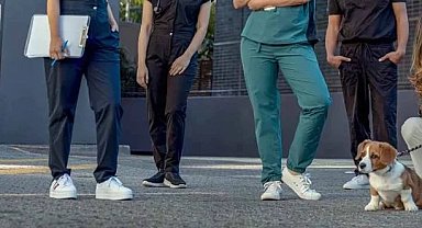 Veteriner Hekim-Sen'den hukuki zafer... Koruyucu giyim yardımı davası kazanıldı