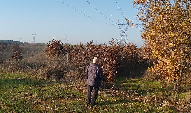 Yargıtay'dan kamulaştırma davasında emsal karar