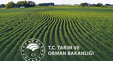 Yeni yılda kırsal kalkınmada destekler artıyor