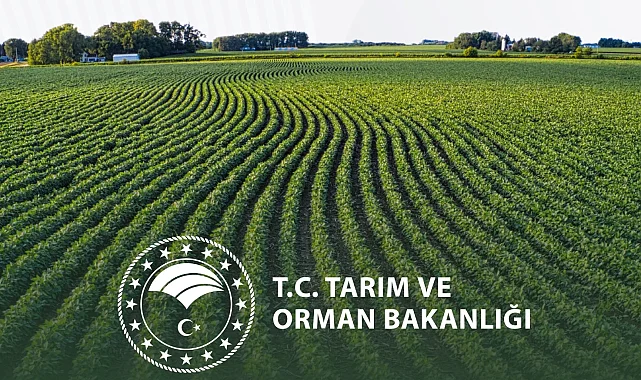 Yeni yılda kırsal kalkınmada destekler artıyor