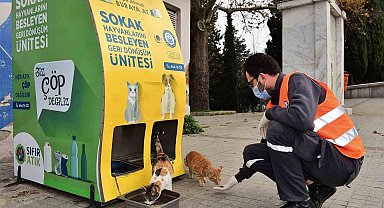 Yıldırım Belediyesi'nden sokak hayvanlarına sıcak yuva