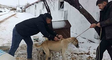 Yozgat'ta 2025 yılında 7 bin 548 sahipli hayvana mikroçip uygulandı