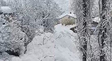 Yüksekova'da çığ yerleşim yerine indi: Facianın eşiğinden dönüldü