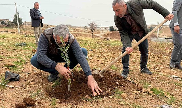 Zeytinli Mahallesi sıfır atık köyü olma yolunda ilerliyor