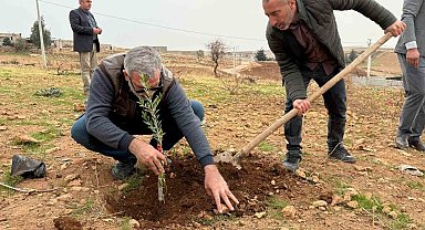 Zeytinli Mahallesi sıfır atık köyü olma yolunda ilerliyor