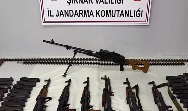 7 ilde silah operasyonu: 259 gözaltı!