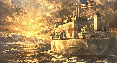 ABD'den Grönland'a hastane gemisi