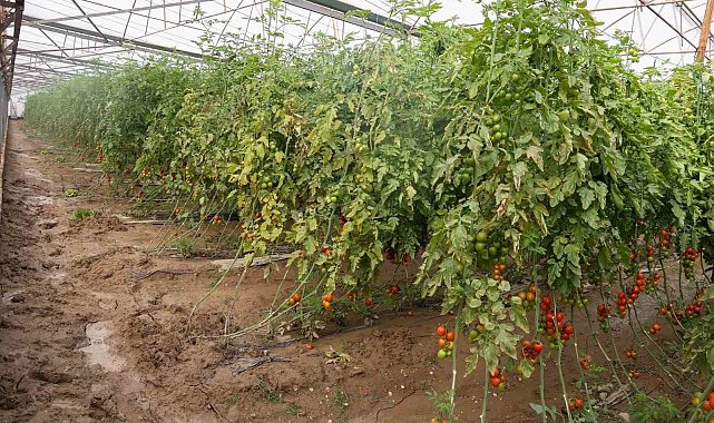 Aksu'da sağanak, sel, hortum ve doludan 23 mahalle, 500 çiftçi zarar gördü