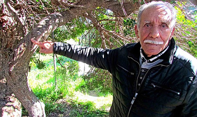 Alaçatı'da, sakızın 70 yıllık geçmişini anlattılar