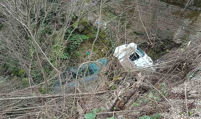 Alaplı'da kamyon şarampole uçtu