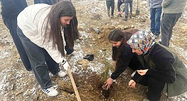 Altıntaş'ta lise öğrencileri fidan dikti