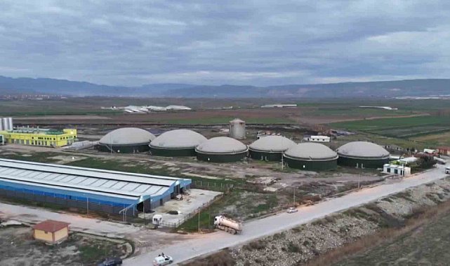 Amasya'da biyogaz tesisinde zehirlenerek hayatını kaybeden 3 işçinin kimlikleri belli oldu