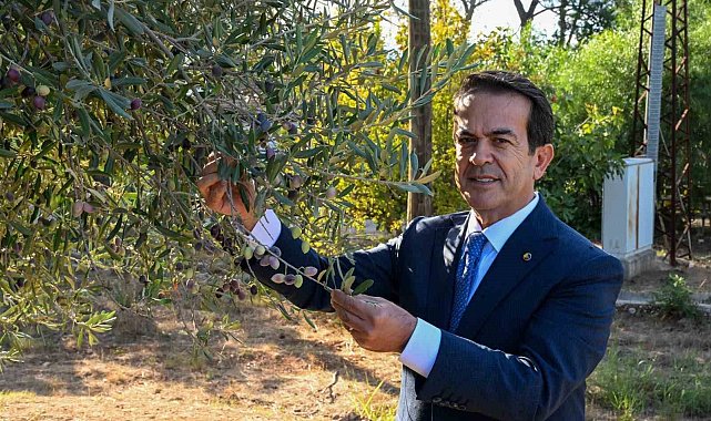 Antalya zeytinyağını markalaştıracak 30 öneri