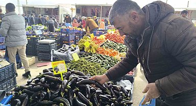 Antalya'daki olumsuz hava şartları patlıcanın tadını kaçırdı