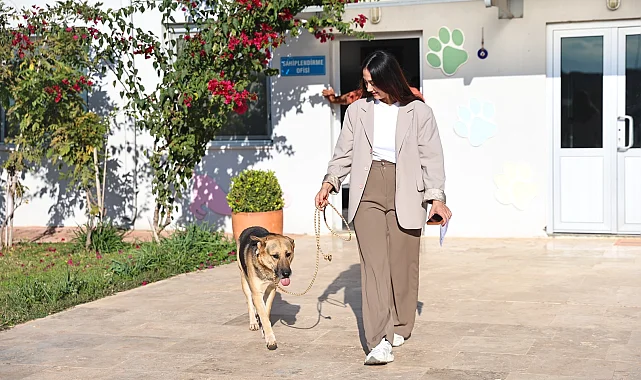 Antalya'da "Satın alma, sahiplen" çağrısı