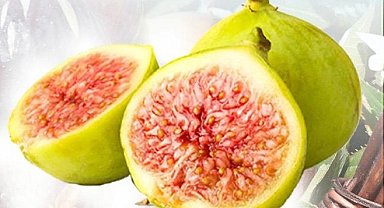 Balıkesir Büyükşehir'den incir fidanı desteği