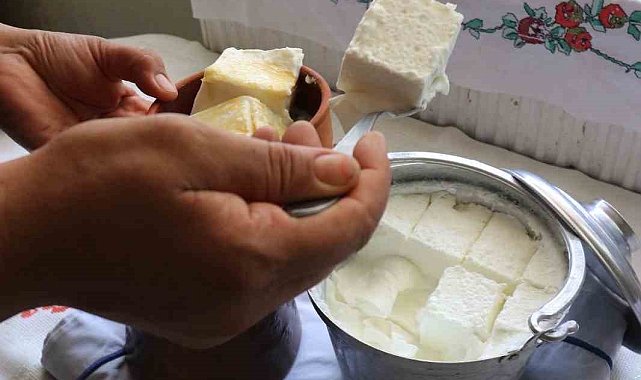 Bartın'ın meşhur manda yoğurdu Kültürel Miras listesine eklendi
