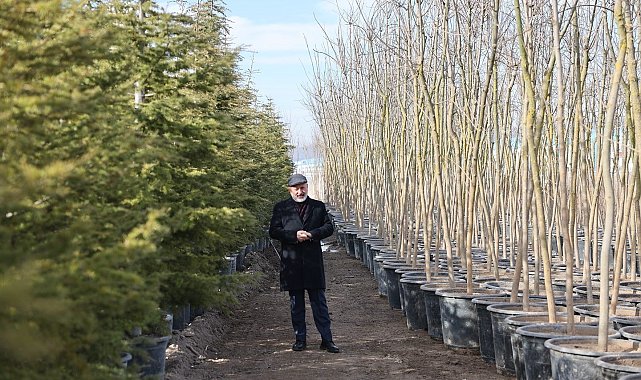 Başkan Çolakbayrakdar: "Şehrin yeşil geleceğini Kocasinan'da inşa ediyoruz"
