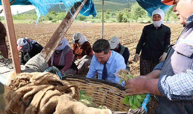 Başkan Tatık'tan tütün firmalarına 'Alım takvimi açıklayın' çağrısı