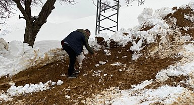 Batman Sason'da yabani hayvanlar için yemleme çalışması