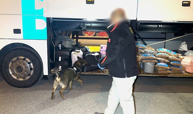 Batman'da narkotik köpeği "Hector" zehir tacirlerine geçit vermedi